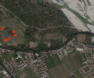 Ripopolamento Leprotti 2022