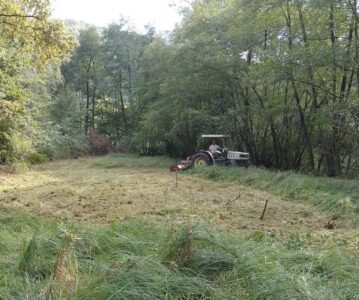 Ripristini Ambientali
