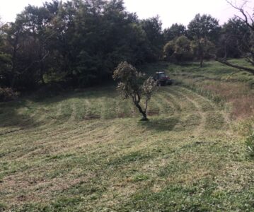 Ripristino Libera Caccia di Pederobba