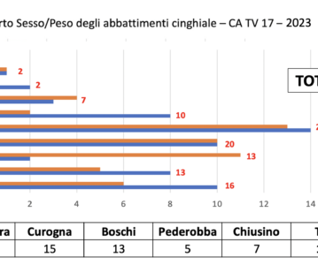 Piano di Eradicazione al Cinghiale