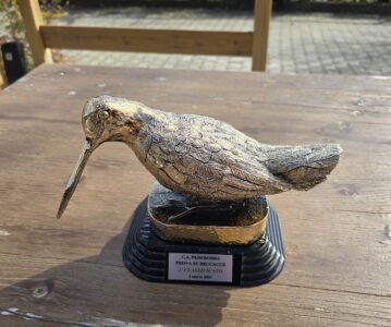 XI TROFEO PREALPI TREVIGIANE
