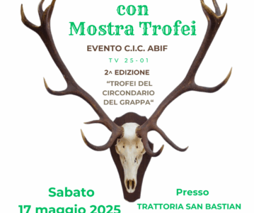 Evento Cic-Abif 2025 Pederobba
