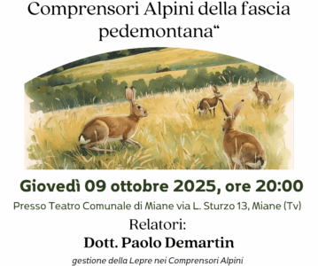 La gestione della Lepre nei Comprensori Alpini nella fascia Pedemontana