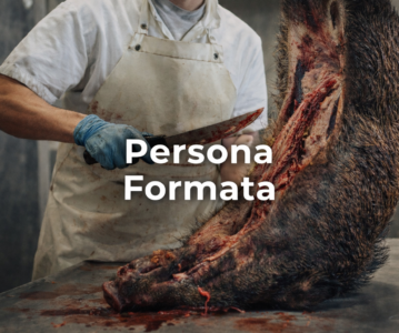 Autoconsumo carni di cinghiale: quali tesserini non valgono più