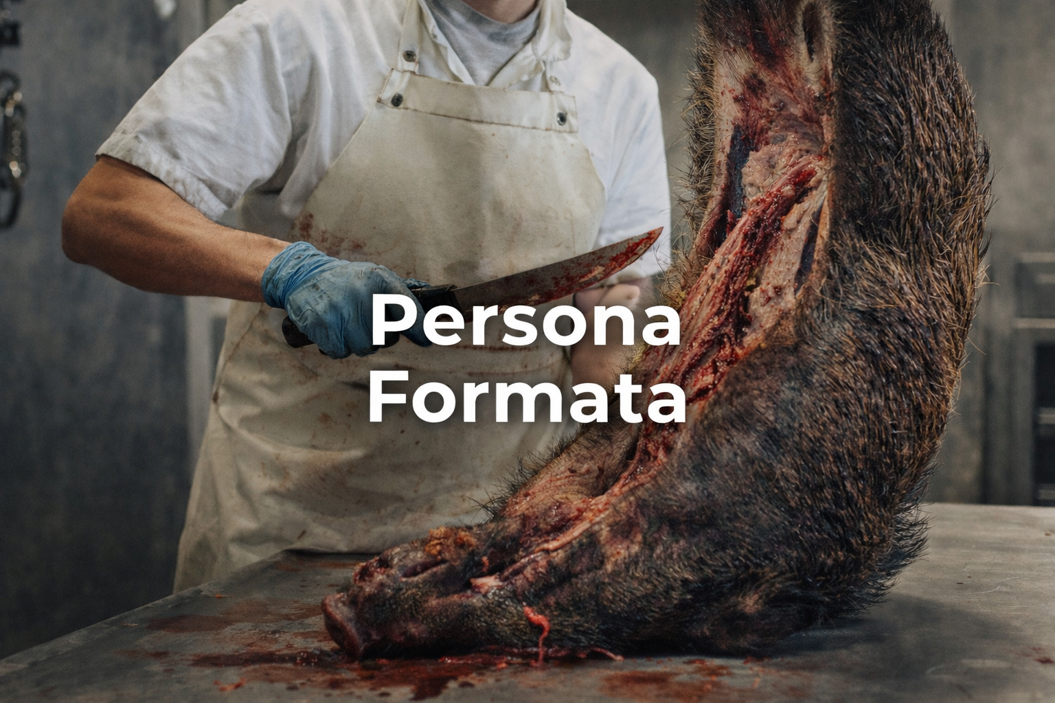 Autoconsumo carni di cinghiale: quali tesserini non valgono più
