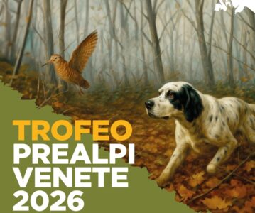 Trofeo Prealpi Venete 2026