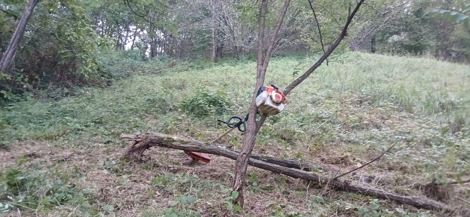 Decespugliatore utilizzato negli interventi di pulizia e recupero delle radure della Riserva Alpina di Pederobba
