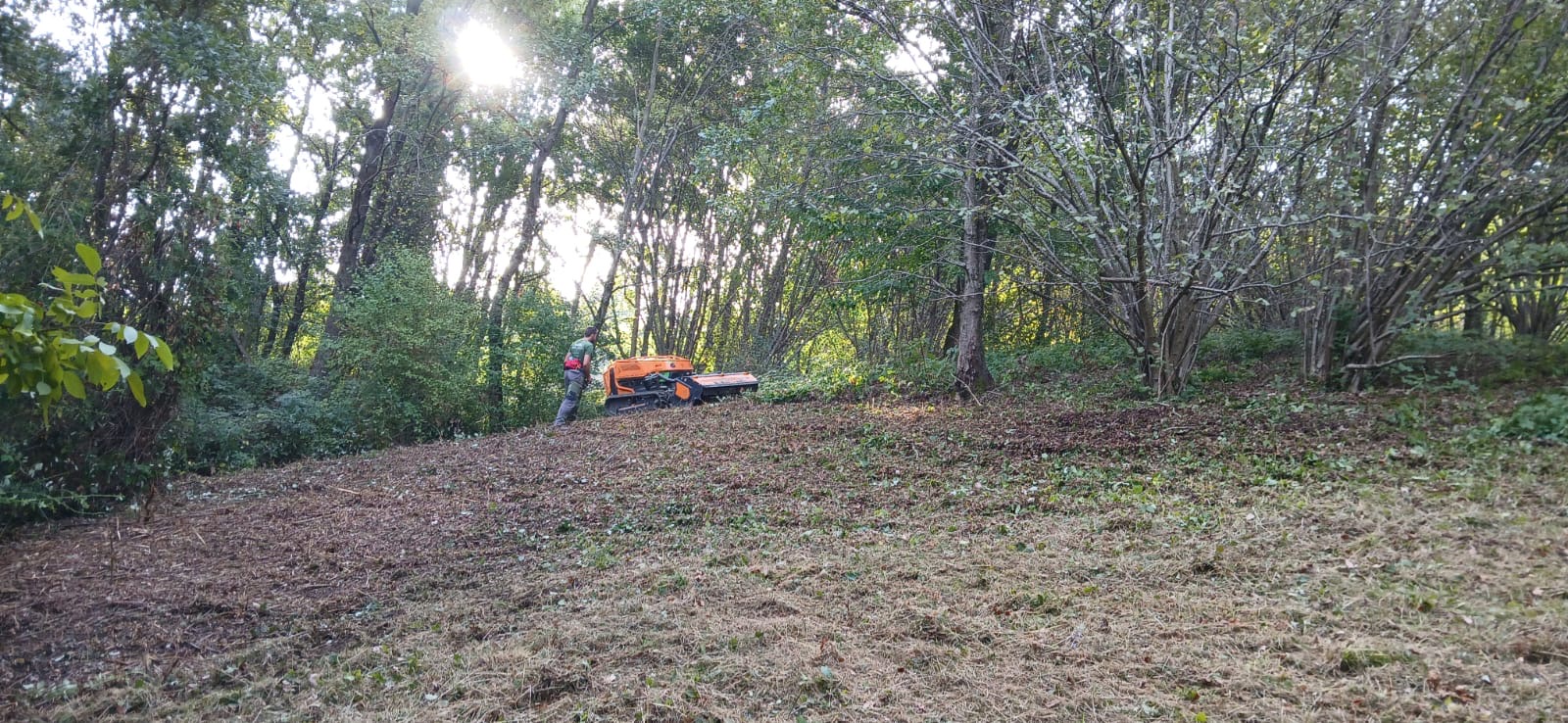 Interventi di miglioramento ambientale sul territorio della Riserva