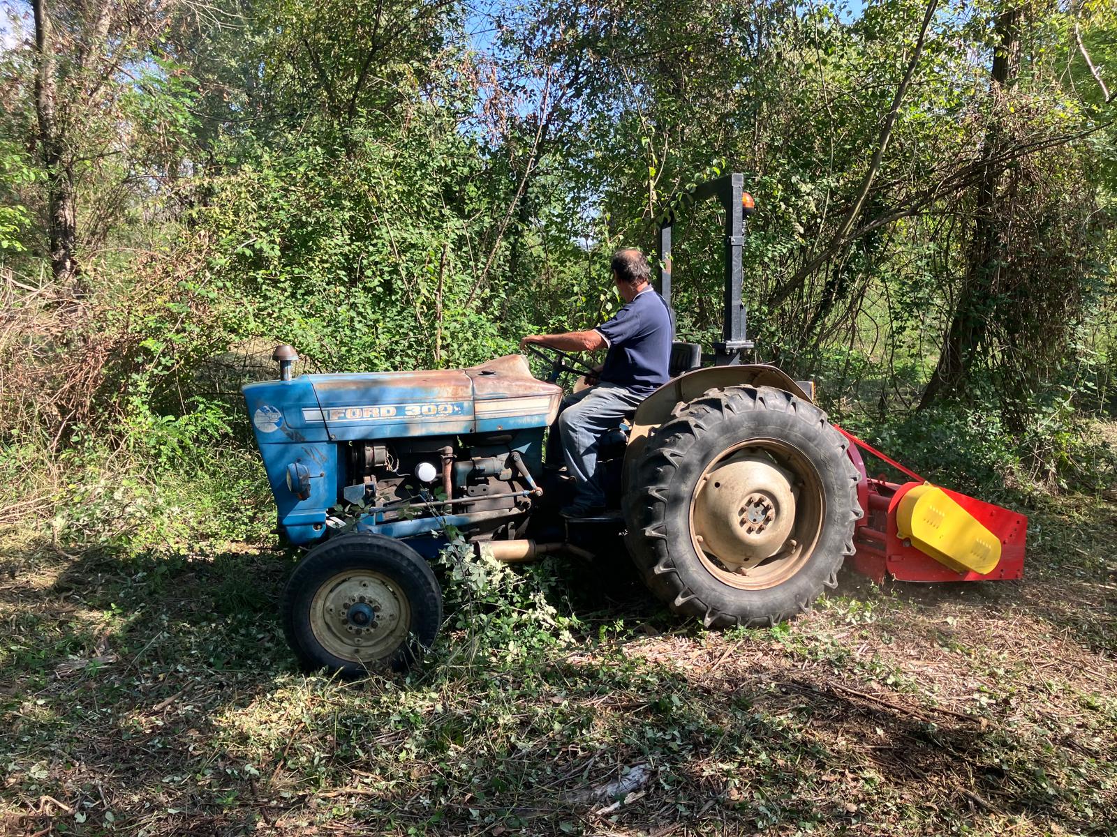 Volontario al lavoro con trattore durante gli interventi di miglioramento ambientale della Riserva Alpina di Pederobba